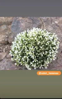 خط 0912کد09122383876