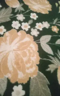 روفرشی۹متری ابی ویا...