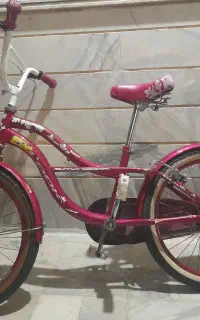 دوچرخه