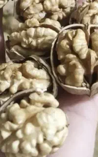 خشکبار گردو محلی حبوبات محلی امسالی چیتی ..