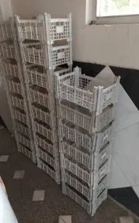 سبد انگو