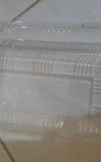 ظرف یکبار مصرف