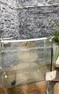 آکواریوم ماهی