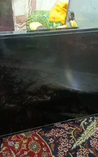ال ای دی ال جی 43 سراوان