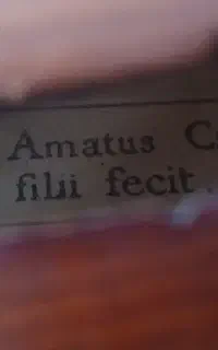 ویولن
