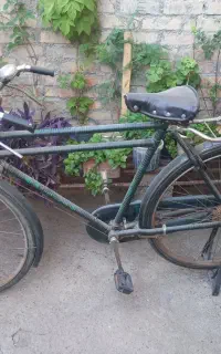 دوچرخه ۳مار