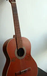 ساز گیتار