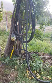 شیلنگ یک اینچ و نردبان هفت پله