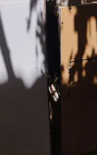 قفس