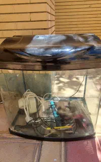 اکواریوم شرکتی شبشه خم نشکن