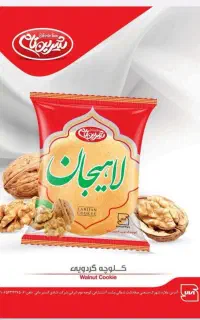 راننده با وانت سبک یا سواری