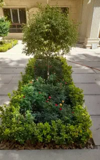 خدمات‌ باغبانی‌ در‌ سراسر‌ تهران