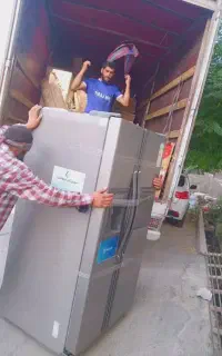 اسباب کشی عارف امینی