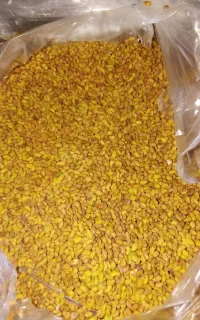 تخم یونجه تضمینی
