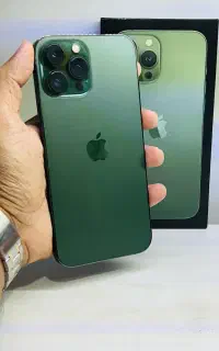 13 pro max