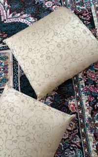 دو عدد بالشت کنار اتاقی یا برای باغ