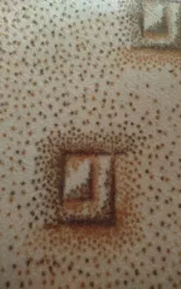 موکت ۲در ۲