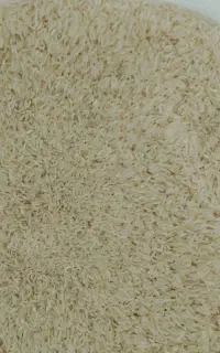 برنج طارم