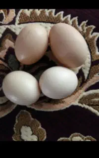 تخم مرغ روستایی