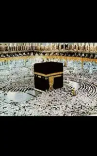 دوتا فیش حج عمره