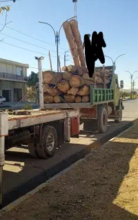برش و خرید انواع درخت و چوب