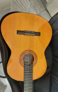 گیتار برند پردیس