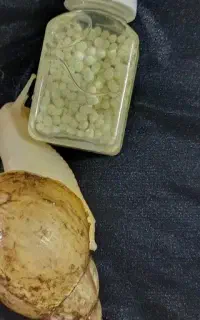 تخم حلزون (خاویار)