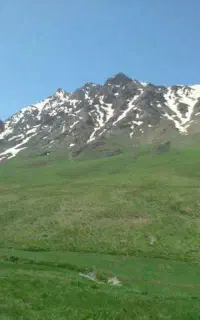 صحرای پر آب وعلف