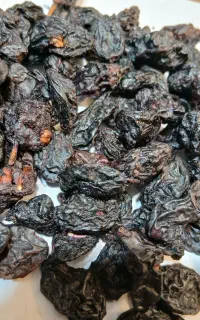 مویز