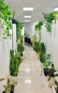 درآمد رویایی زنندگی رویایی در دپارتمان ماهور