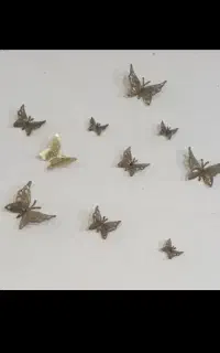 پروانه برنز