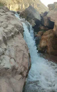 رودی