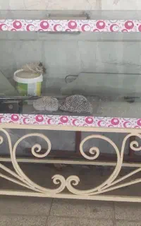 آکواریوم