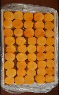 فروش خشکبار