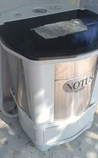 پتوشور نوتوس