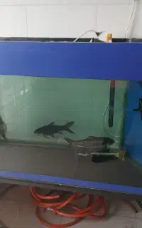 اکواریم بزرگ
