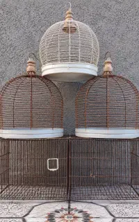 قفس پرنده