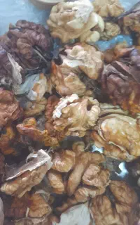 گردو ‌فسنجانی تازه‌ امسالی