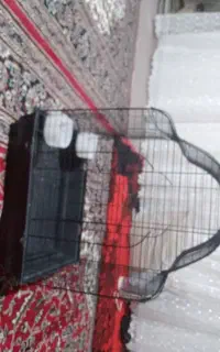 قفس مناسب برای تمام پرندگان