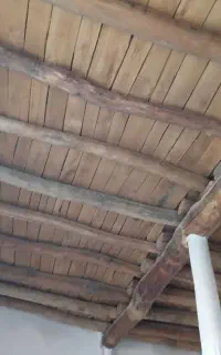 چوب سالم