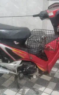 پیشرو 135