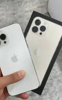 13pro