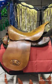 تجهیزات اسب