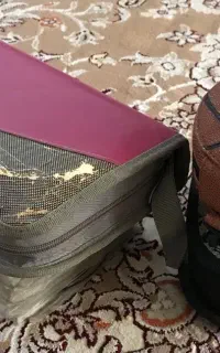 مجموعه بزرگ کارتون
