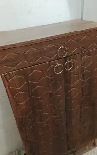 جاکفشی سالم