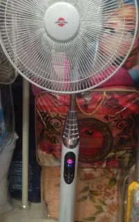 پنکه ایستاده