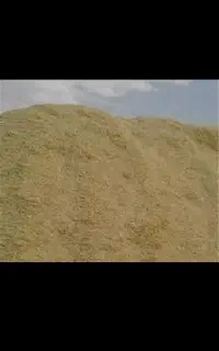 جو و گندم