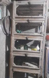 جف.کن کبوتر زیرکشویی پنج طبقه