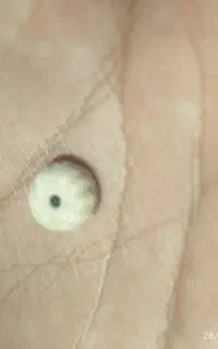 مهره