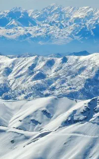 تنظیم ویرایش پایان نامه پروپوزال ارشدو دکتری حقوق